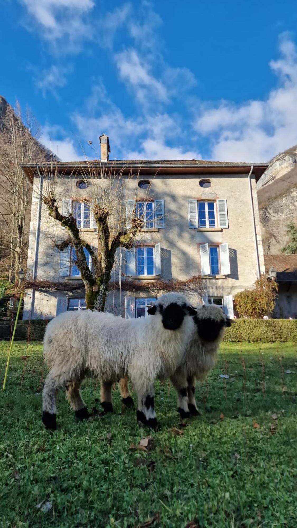Chateau Monts Blancs Lumbin Luaran gambar